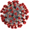 2019-nCoV-CDC-23312_without_background.png