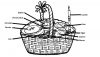 upload_2020-2-15_8-28-7.png