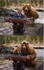 trumpbear.png