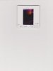 Light Above the Pines 001.jpg