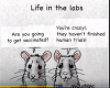 mouse.png