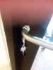 20200709_082424.jpg