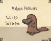 IMG_8367.jpeg