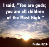IMG_2409.png