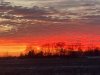 IMG_6381.jpeg