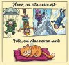 FB_IMG_1777470050025.jpg