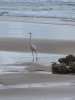 IMG_3821.jpeg