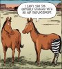 HipReplacement.JPG